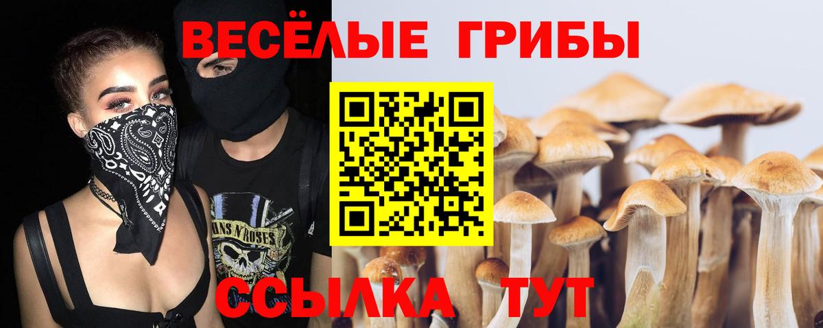 Псилоцибиновые грибы MAGIC MUSHROOMS Махачкала